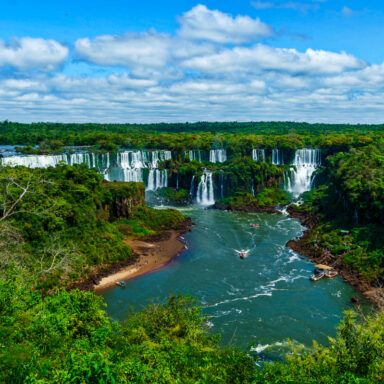 climate crisis, global warming, fighting deforestation, investors, $3T fund