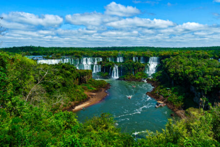 climate crisis, global warming, fighting deforestation, investors, $3T fund