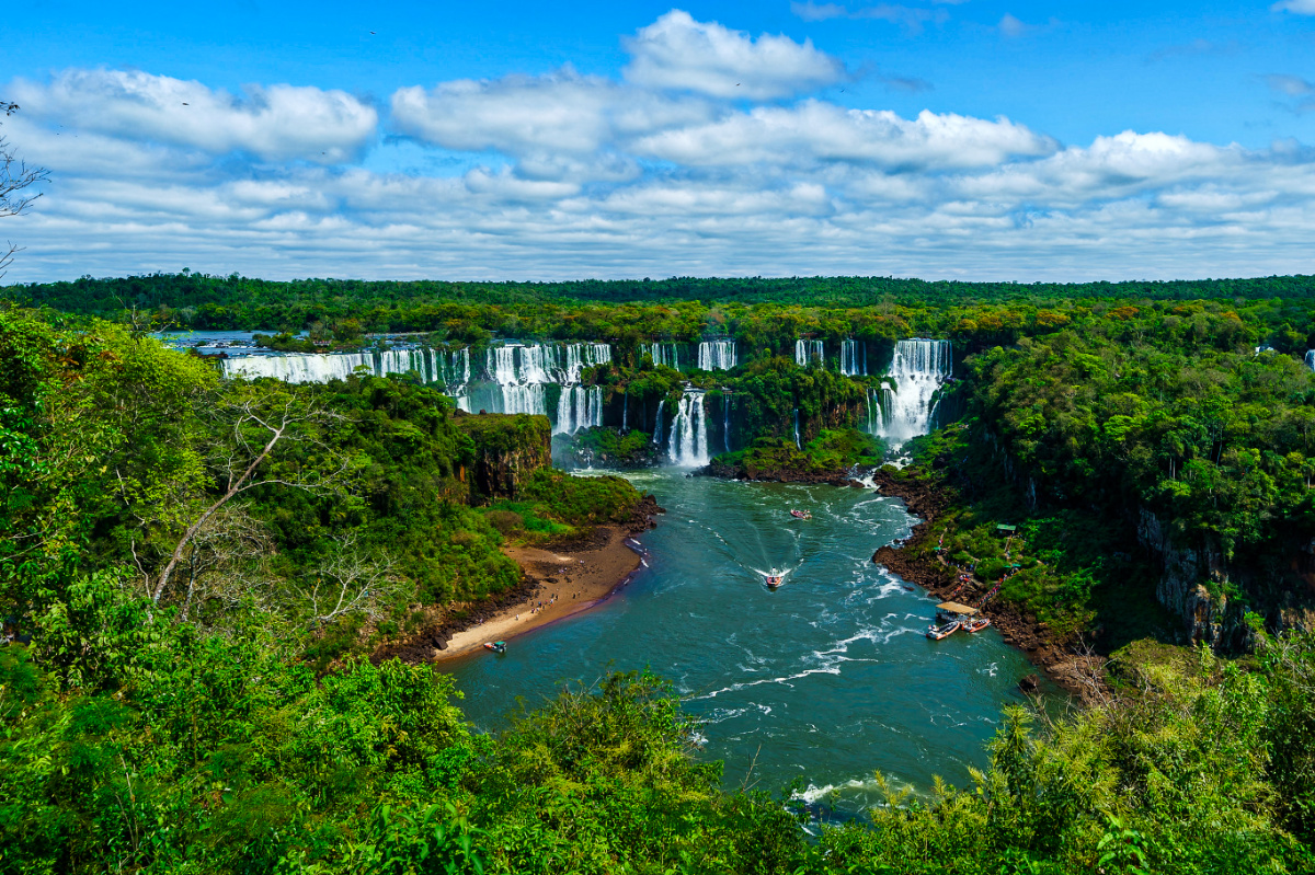 climate crisis, global warming, fighting deforestation, investors, $3T fund