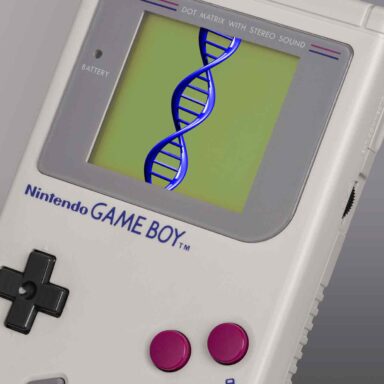 Nintendo, Game Boy,