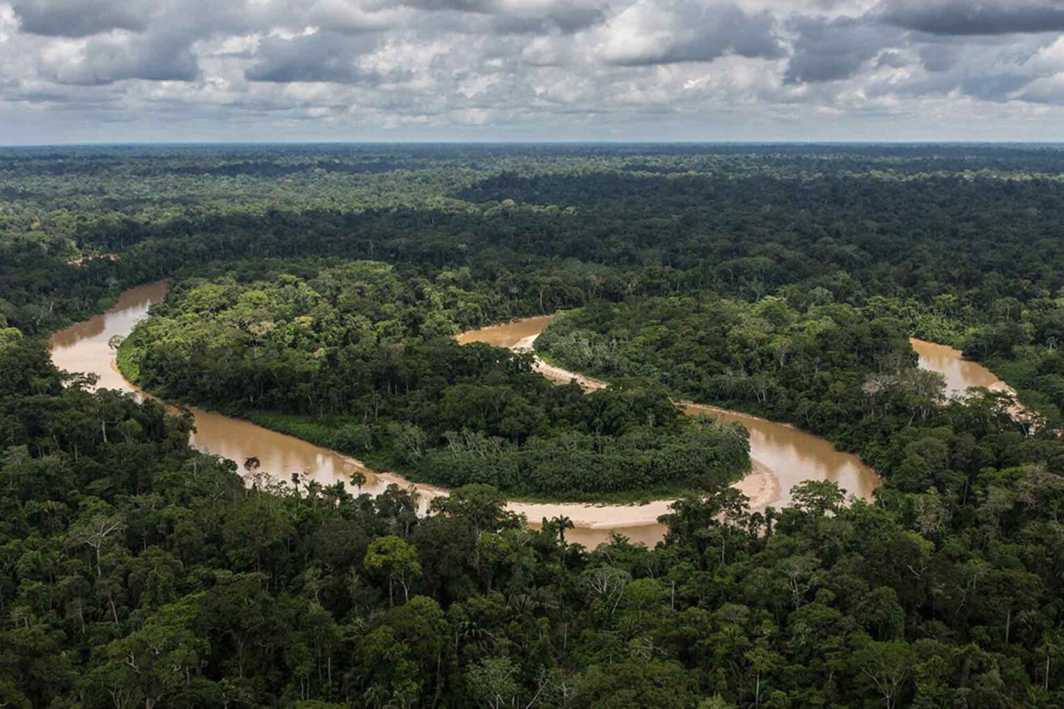 Amazon rainforest, lungs of the world