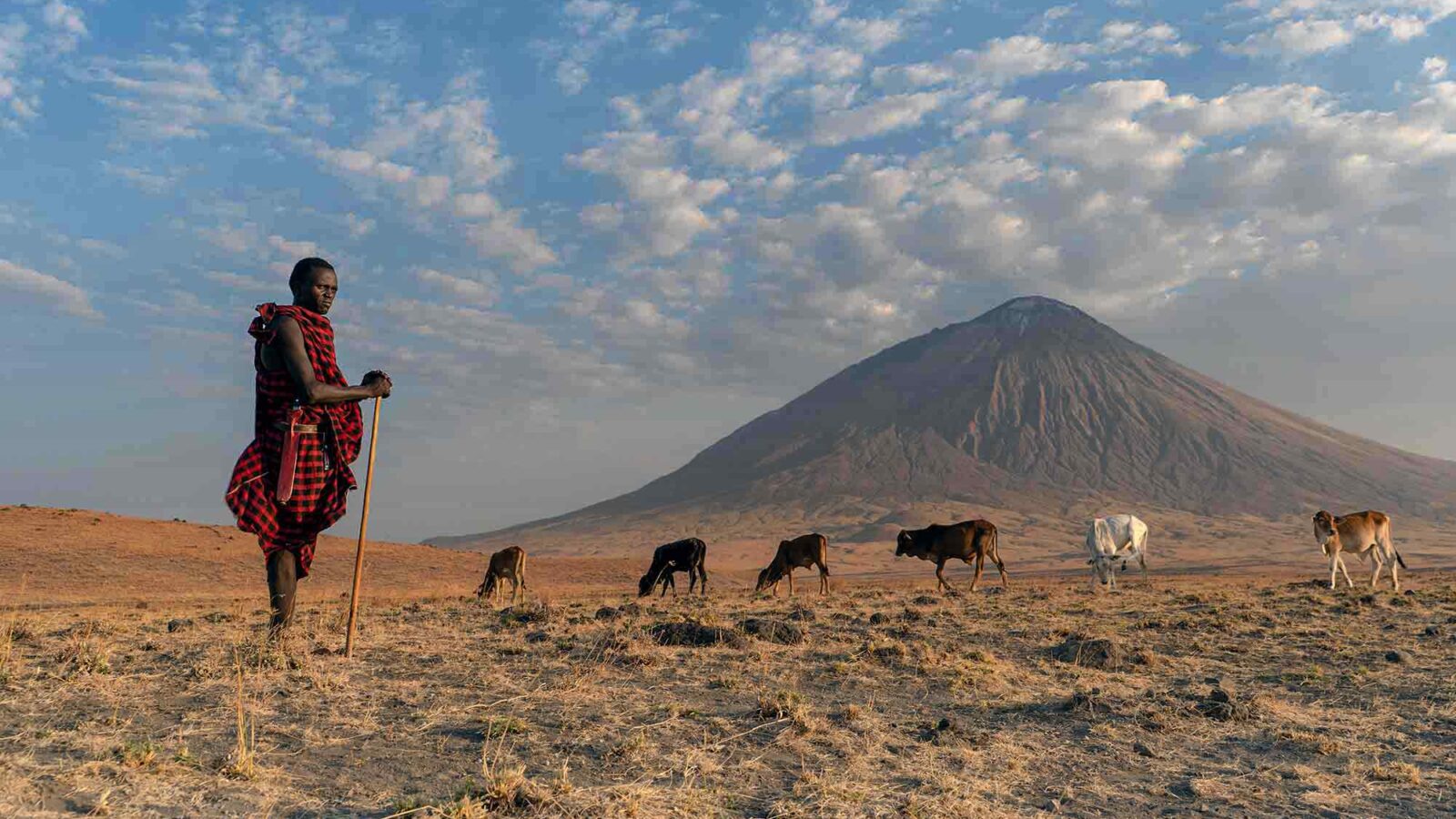 The New Scramble for Tanzania’s Savanna