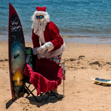 2025, positive news roundup, planet Earth, nature, society, progress to celebrate