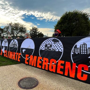 climate crisis, global warming, organizations, action, 12 ways to help