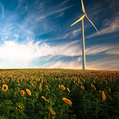 climate crisis, global warming, renewable energy, wind projects, government ban, struck down