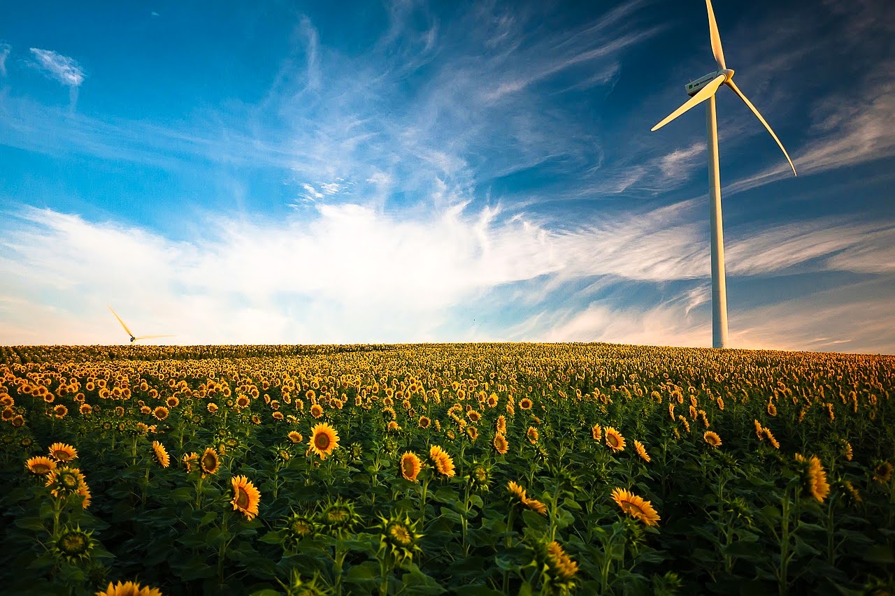 climate crisis, global warming, renewable energy, wind projects, government ban, struck down