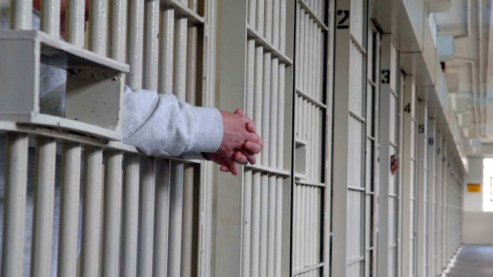 What ‘Law and Order’ Really Costs Democracy