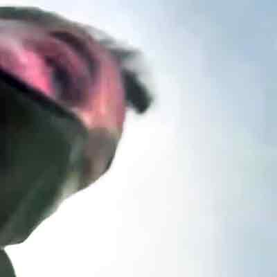 Jonathan E. Ross, phone video, Renee Good, Shooting