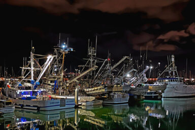 science, oceans, ecosystem, biodiversity, Argentina, squid jigging, overfishing