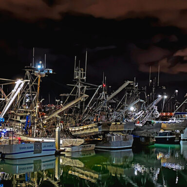 science, oceans, ecosystem, biodiversity, Argentina, squid jigging, overfishing