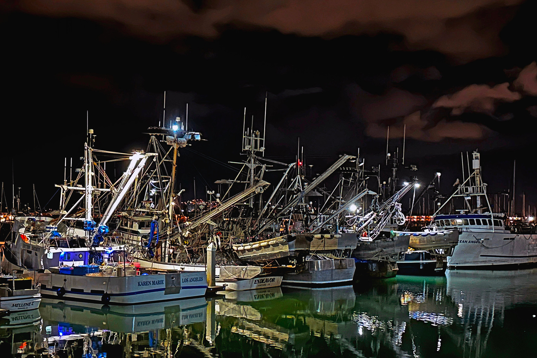 science, oceans, ecosystem, biodiversity, Argentina, squid jigging, overfishing
