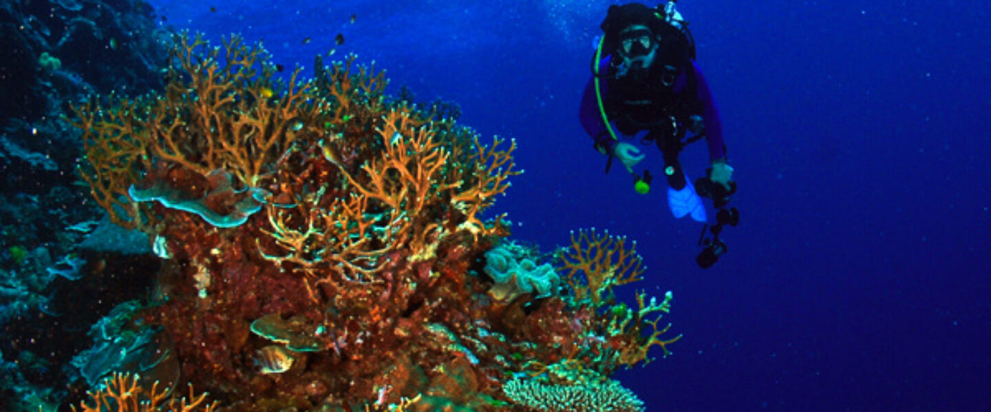 science, oceans, biodiversity, global UN treaty, marine protected areas
