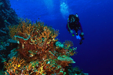 science, oceans, biodiversity, global UN treaty, marine protected areas