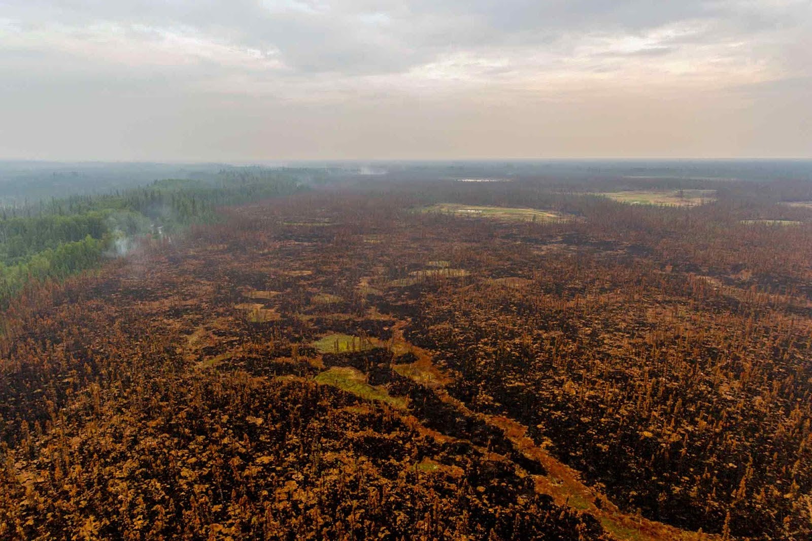 Moose Creek Fire, Denali National Park, AK, 2015