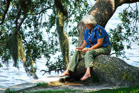 science, nature, mental health, chaotic news cycle, stress relief, forest bathing