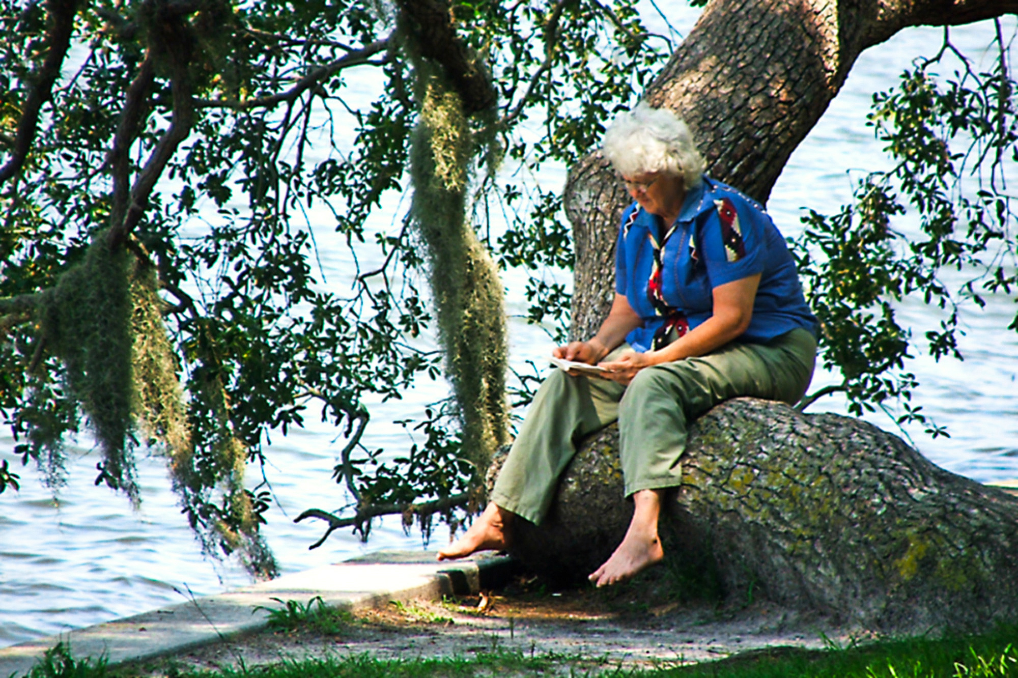 science, nature, mental health, chaotic news cycle, stress relief, forest bathing