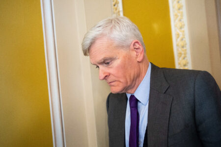 Image Name (title): Bill Cassidy, Senate