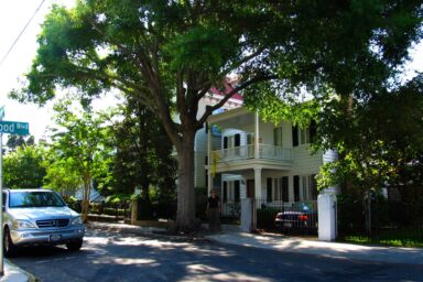 Trees Can Halve the Heat Trapped in Cities — But There’s a Catch climate crisis, global warming, cities, heat islands, health Risks, urban trees, catch