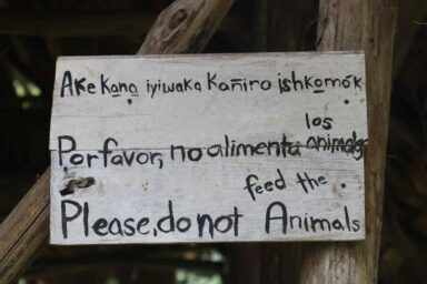The Extinction of Languages Is an Environmental Issue Environmental education, Bribri community, Costa Rica, three languages