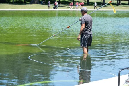 Algae bloom, Lincoln Memorial, Reflecting Pool