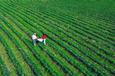 USDA NRCS employee, landowner, strawberry fields, Monterey County, CA