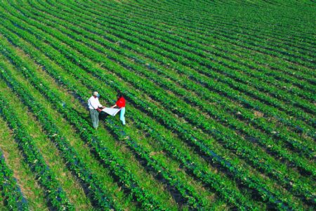 USDA NRCS employee, landowner, strawberry fields, Monterey County, CA