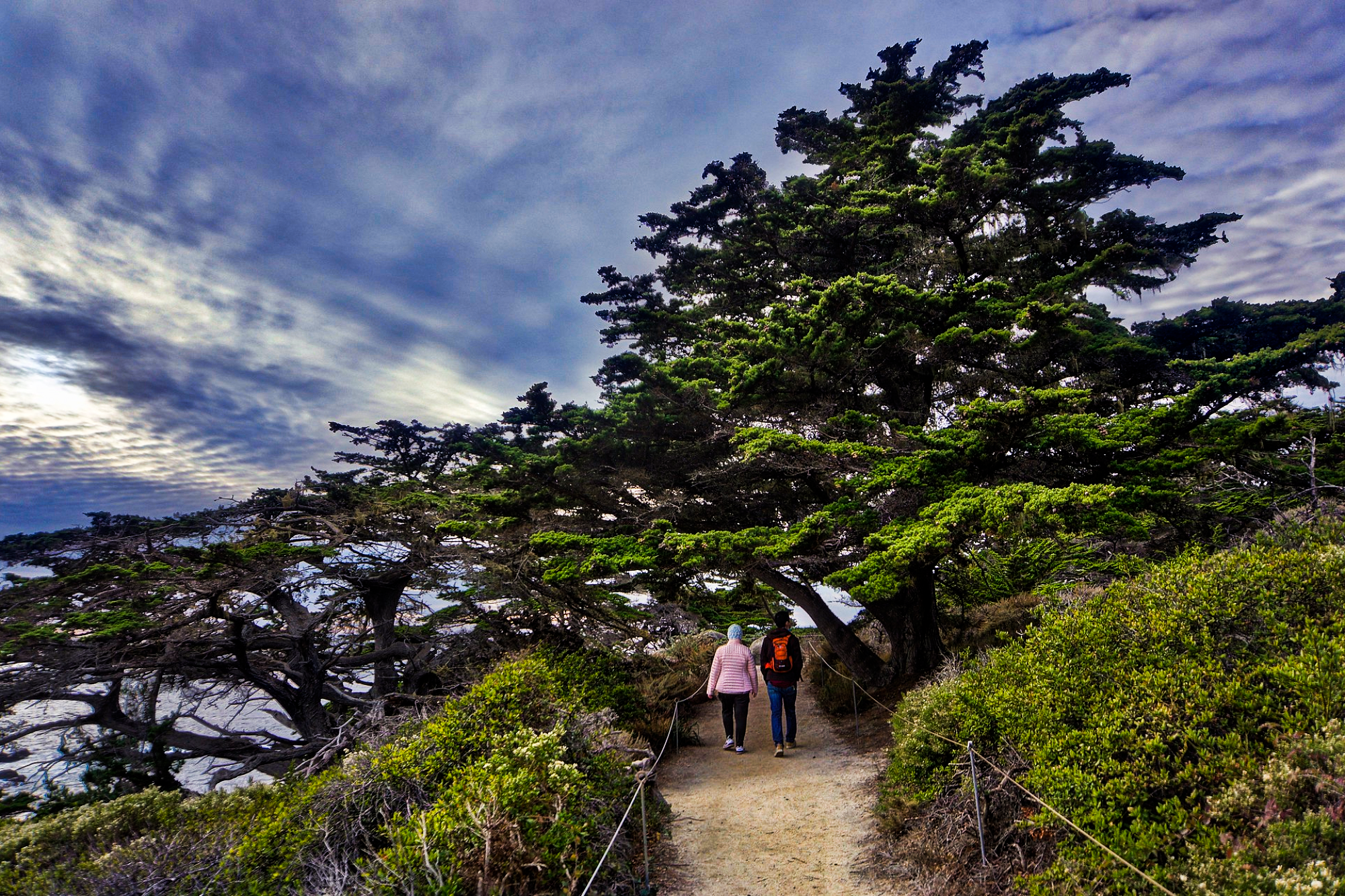 Big tech, data centers, California, Monterey Park, permanent ban, ballot initiative