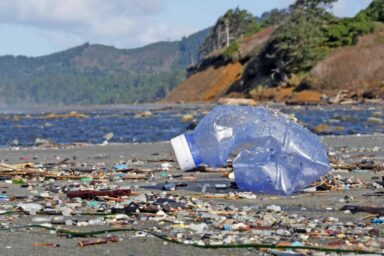 Why The Ocean Cleanup Hasn’t Solved the Plastic Pollution Crisis Plastic debris, Beverly Beach, Oregon coast