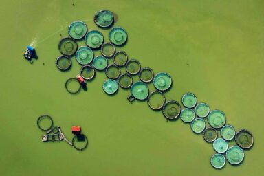 Seafood Industry Giants Failing to Tackle Pollution, New Study Finds Polluted water, fish farm