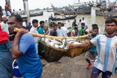 The Ocean’s Fever: Scientists See a Crisis Coming Fishermen, Fishery Ghat, Cox's Bazar