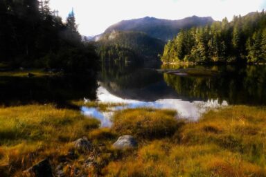 Conservationists Say Trump Gutting of Roadless Rule Is Corporate Giveaway Takatz Bay, Baranof Island, AK