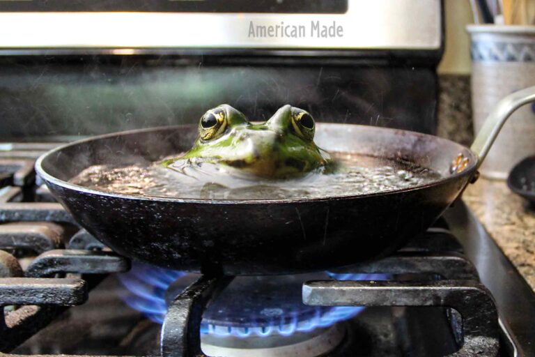 boiling frog