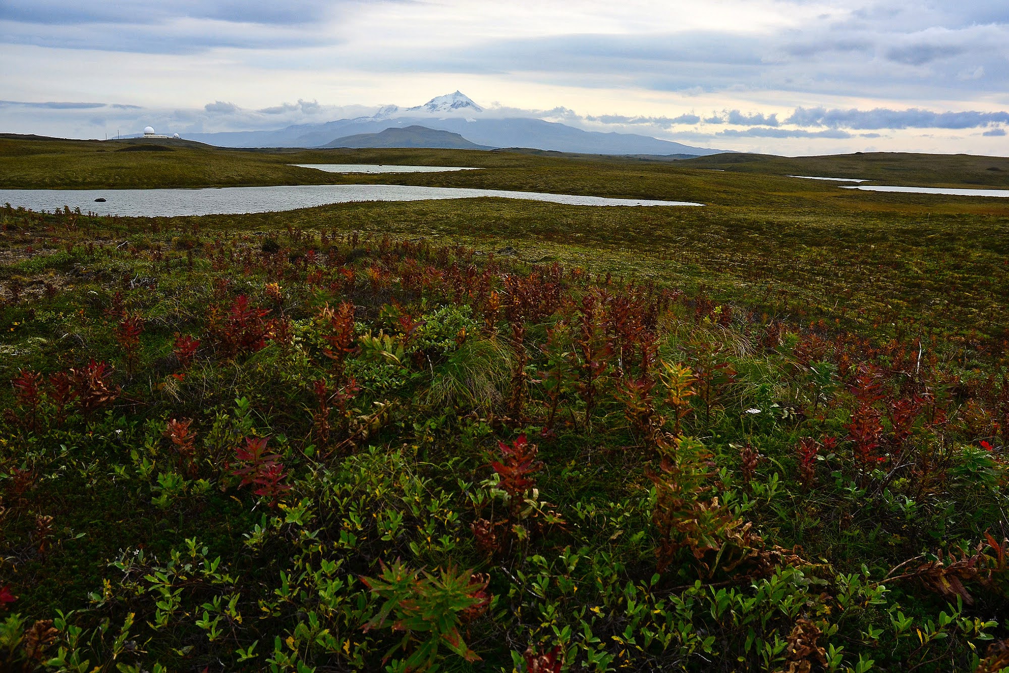 Science, biodiversity, wildlife conservation, Alaskan wildlife refuge, court decision, road construction blocked