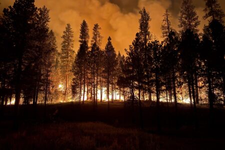 climate crisis, global heating, 2026 super El Nino, temperature record broken