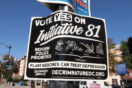 DC, Election 2020, campaign signs