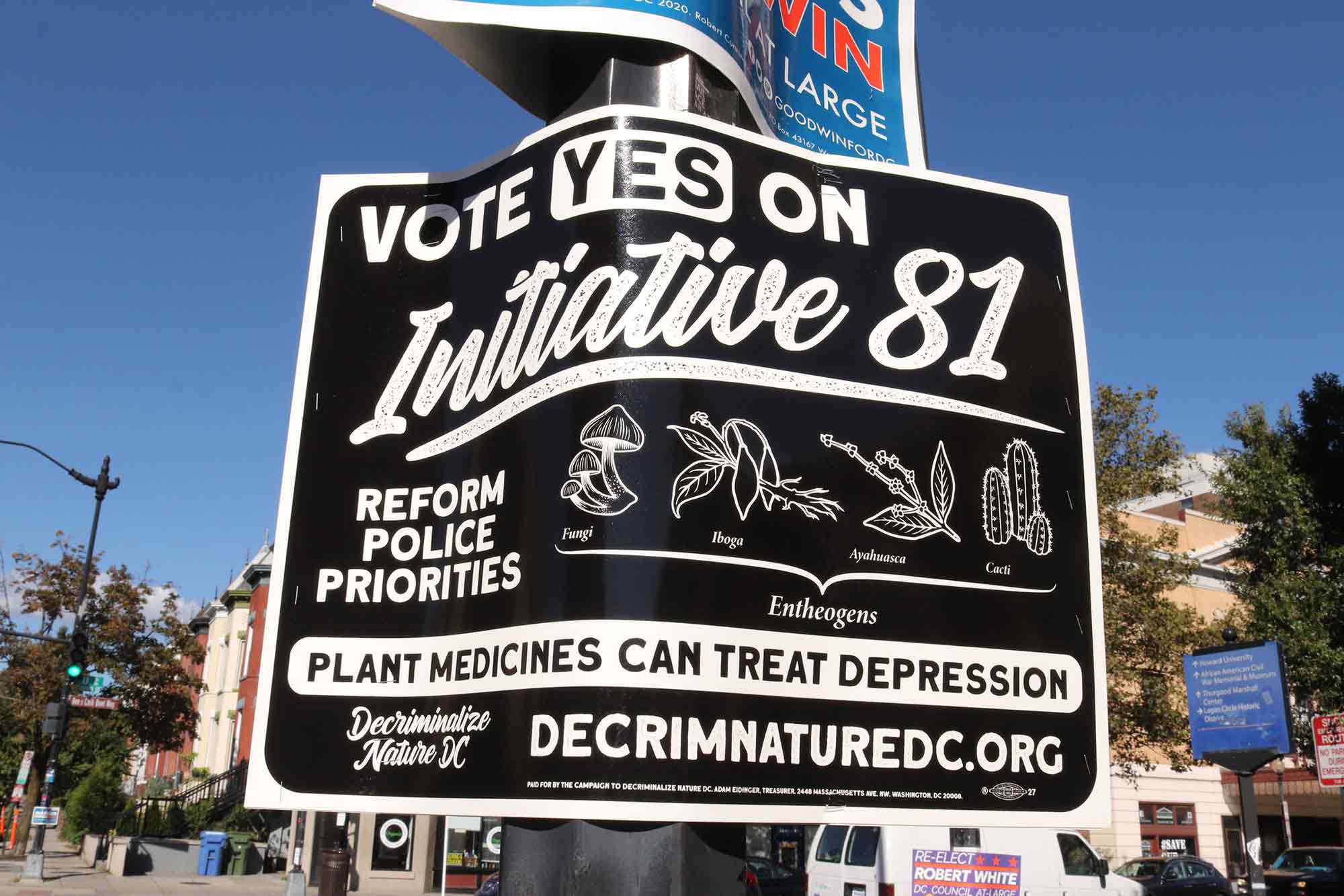 DC, Election 2020, campaign signs