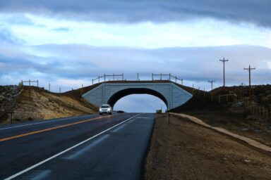 Science, biodiversity, wildlife conservation, Colorado overpass. collisions reduced by 91%
