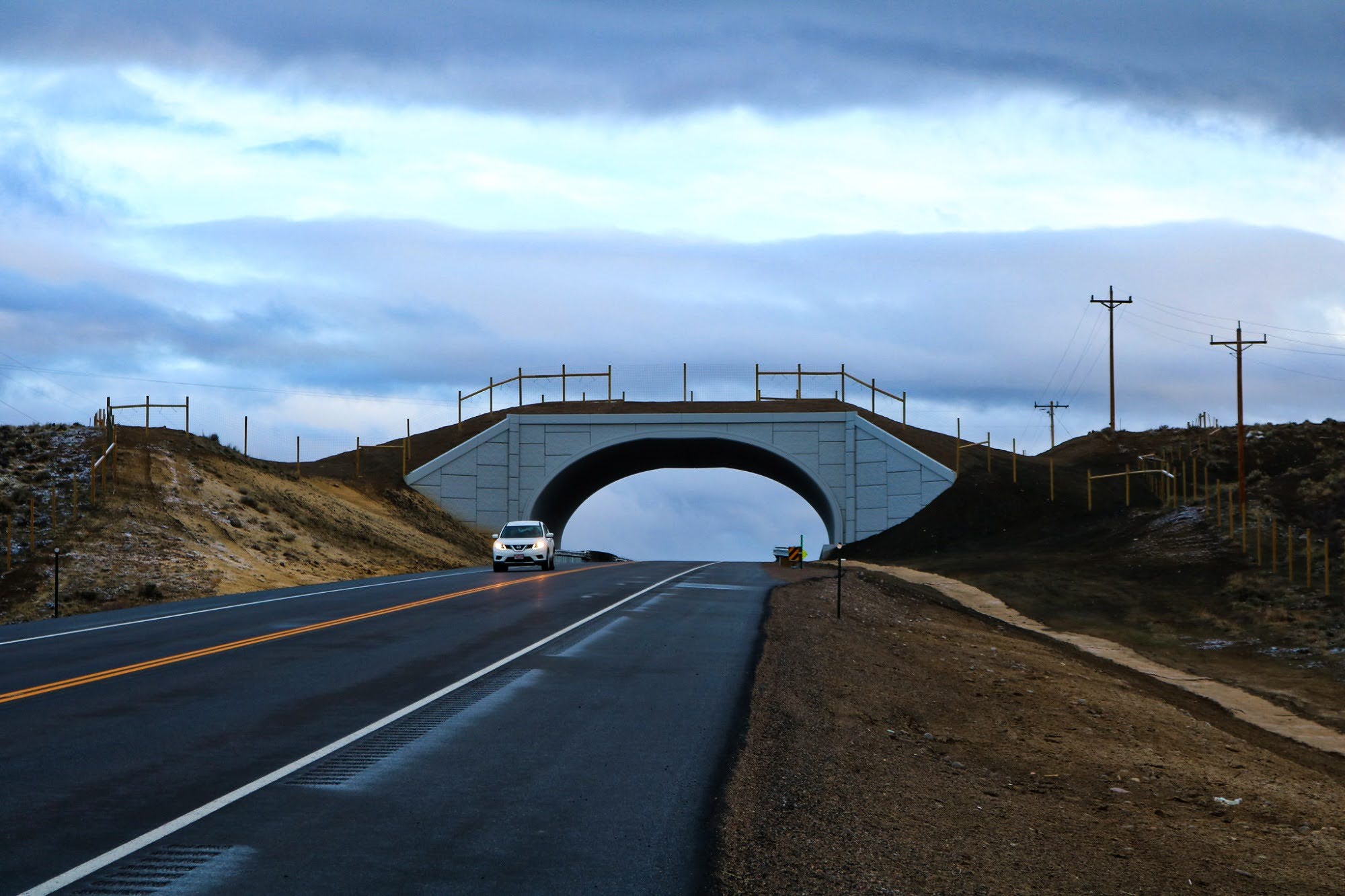 Science, biodiversity, wildlife conservation, Colorado overpass. collisions reduced by 91%