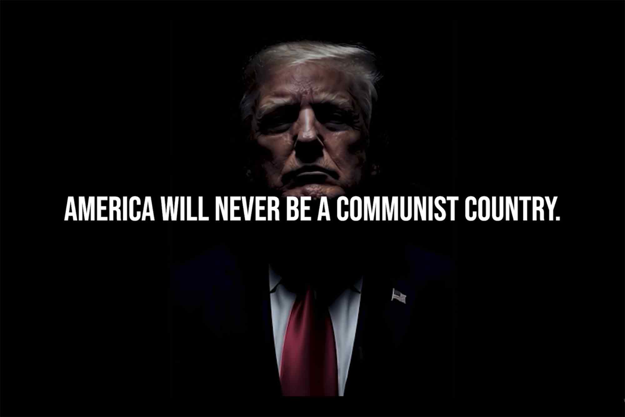 Donald Trump, Hatch Act, Advertisement, Paid for buy the US Government