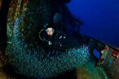 Science, oceans, biodiversity, conservation, artificial reefs, USS Kittiwake