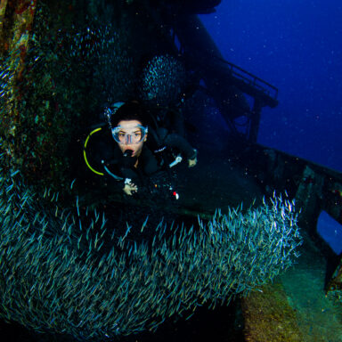 Science, oceans, biodiversity, conservation, artificial reefs, USS Kittiwake